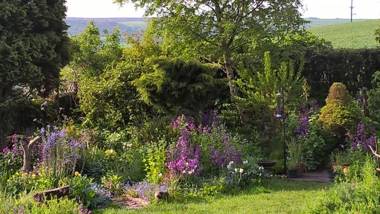 Thorpe Green House Vegetarian Bed & Breakfast