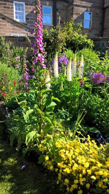 Thorpe Green House Vegetarian Bed & Breakfast