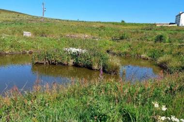 Peak District Cottage set in 5 acres near Buxton