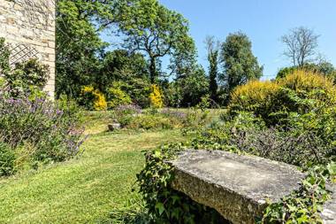 Cosy Wolf Bed & Breakfast