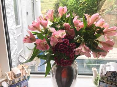 Arallt Holiday Cottage