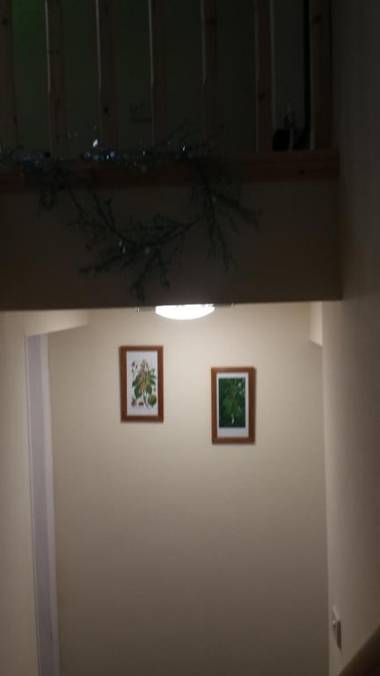 THE CONKERA Saracens head public house high street