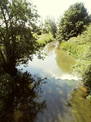 Poplar Lodge Log Caravan