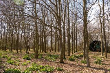 The Stables Theberton