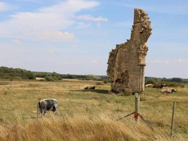 Abbey Cottage Lincoln