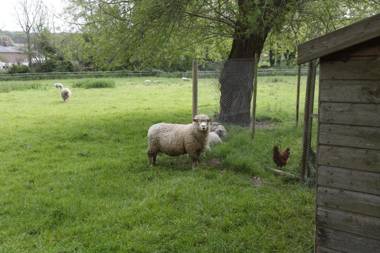 The Old Mill Bed and Breakfast