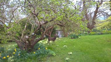 The Lynch Country House