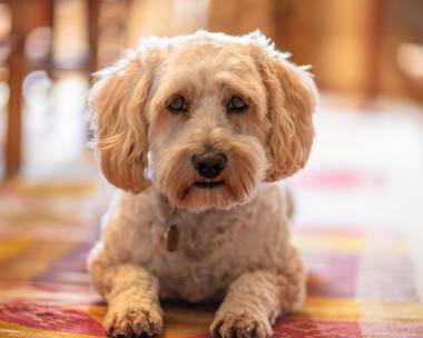 Forthay Bed and Breakfast