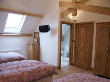 Swallows Reach Halwell