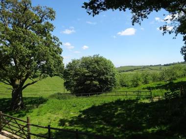 Swallows Reach Halwell
