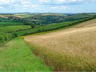 The Roundhouse Halwell