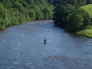 Wydon Farm Bed and Breakfast