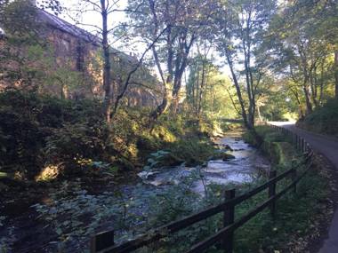 The Old School House