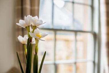 Grassmarket Apartment