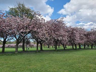 Lovely 2 bedroom flat in the heart of the city