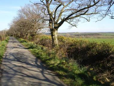 Leworthy Farmhouse Bed and Breakfast
