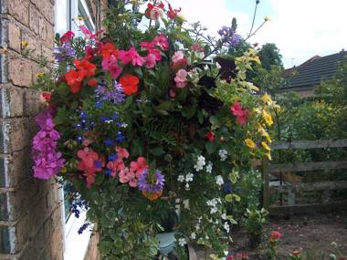 Hillcroft Luxury Bed & Breakfast