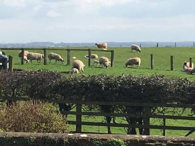 Hall Farm Bed & Breakfast