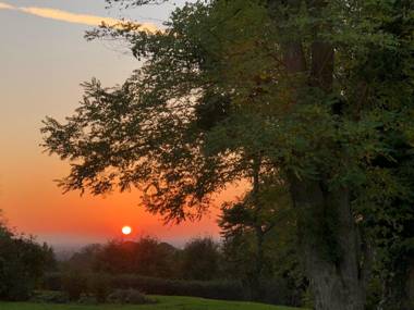 The Den at Backwell Down