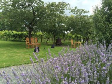 Jabajak Vineyard Restaurant & Rooms