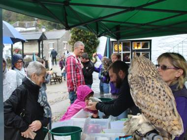 The Crumplehorn Inn & Mill