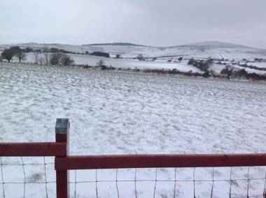 Brynhaul Bed and Breakfast