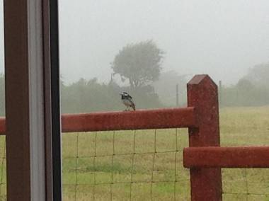 Brynhaul Bed and Breakfast