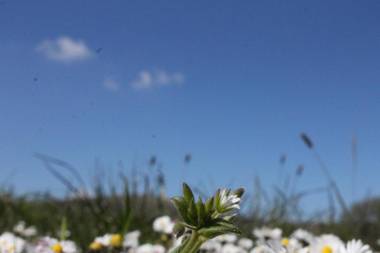 Brynhaul Bed and Breakfast