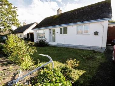 Salty Puffin Tyn-y-Gongl