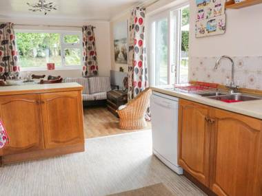 Salty Puffin Tyn-y-Gongl