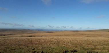 Duchy House Bed and Breakfast