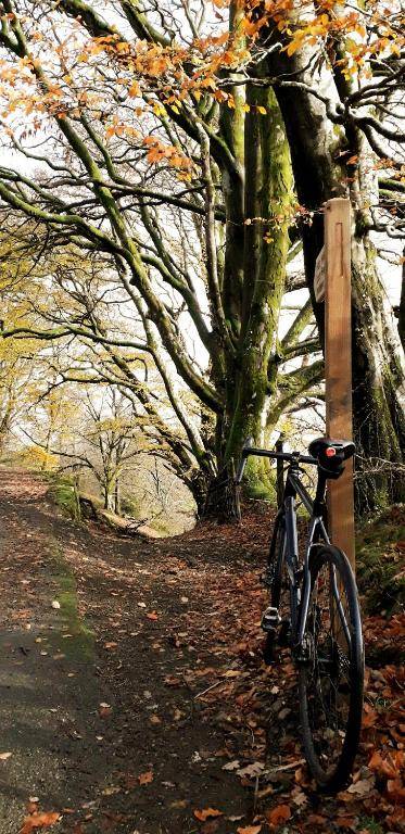 Duchy House Bed and Breakfast