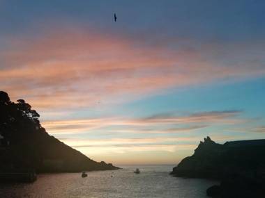 The House on the Props