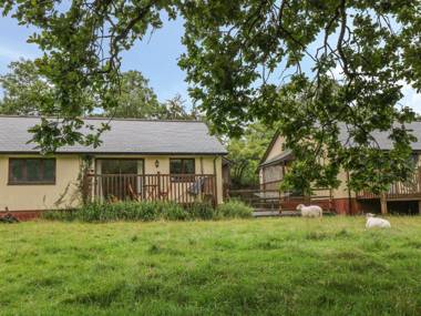 Woodpecker Beaworthy