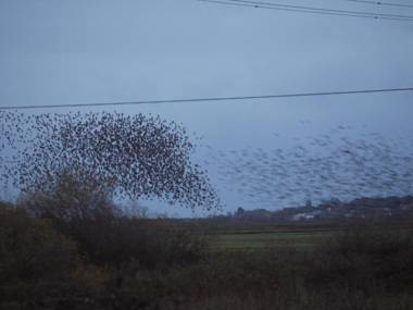 The Lodge On The Marsh