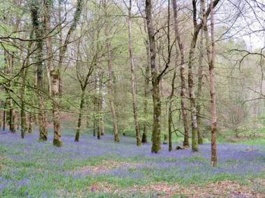 Triumphal Arch Lodge