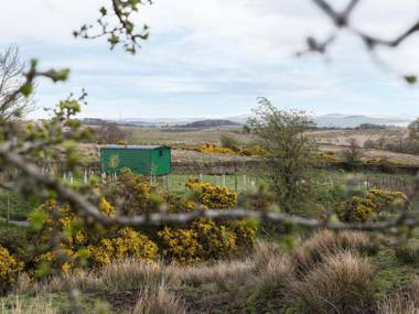 Peat Gate Shepherd's Hut