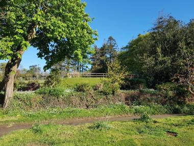 Great Trethew Manor Hotel & Restaurant