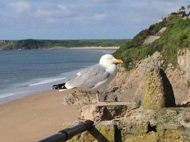Gwynfryn Guest House