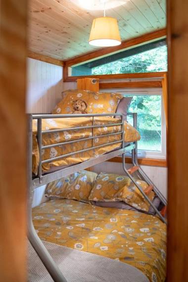 Catkin Lodge set in a Beautiful Woodland Holiday Park