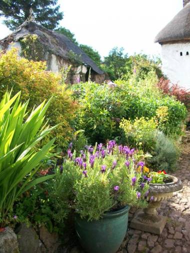 Middletown Farmhouse B&B