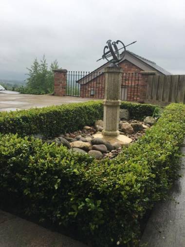 Bluebell at Gaer Fawr