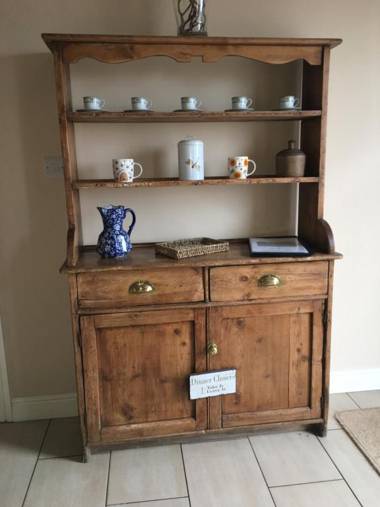 Bluebell at Gaer Fawr