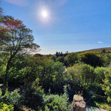 The Sett - The Cottages at Blackadon Farm