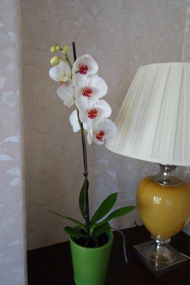 The Hutchinson Apartments