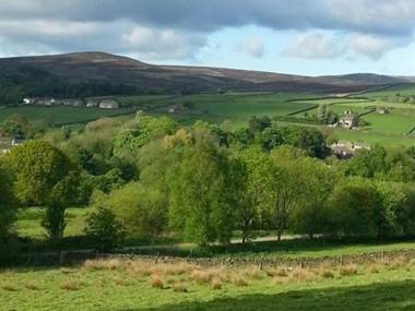 The Waltzing Weasel B&B