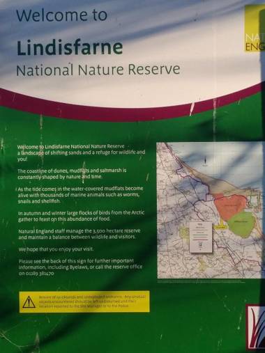 Haggerston Lola the Lodge and Betty the Van