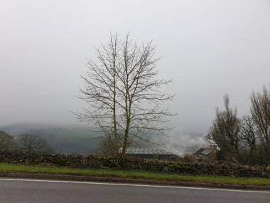 The Shady Oak Country Inn