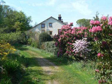 Forest How Guest House