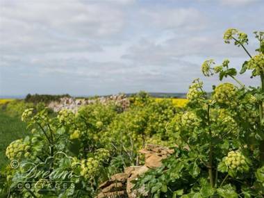 The Old Reading Room LANGTON HERRING
